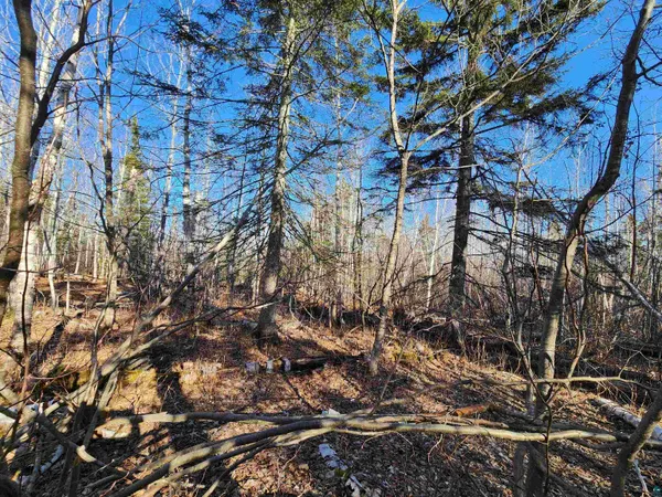 $479,000 | 61 Highway 61, Lutsen, MN 55612