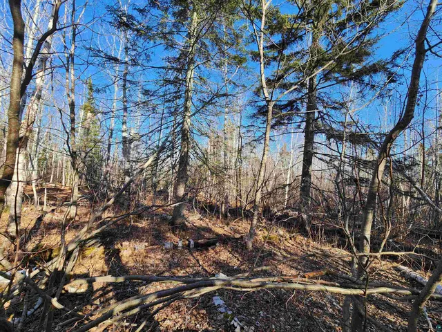 $479,000 | 61 Highway 61, Lutsen, MN 55612