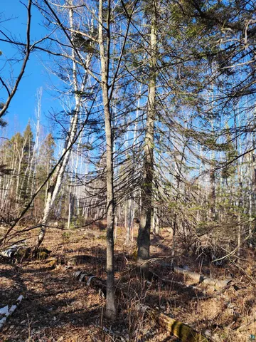 $479,000 | 61 Highway 61, Lutsen, MN 55612