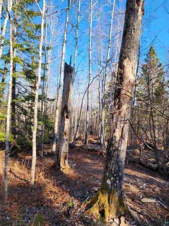 $479,000 | 61 Highway 61, Lutsen, MN 55612