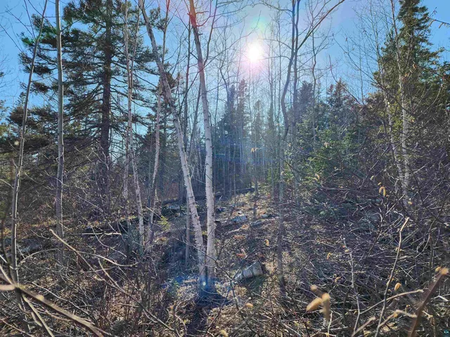 $479,000 | 61 Highway 61, Lutsen, MN 55612