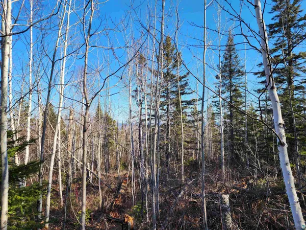 $479,000 | 61 Highway 61, Lutsen, MN 55612