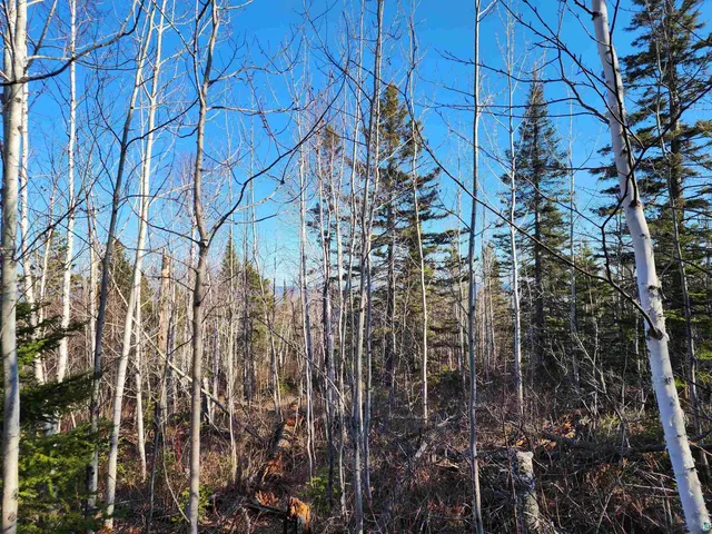 $479,000 | 61 Highway 61, Lutsen, MN 55612