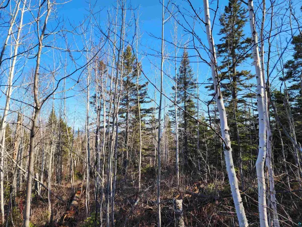 $479,000 | 61 Highway 61, Lutsen, MN 55612