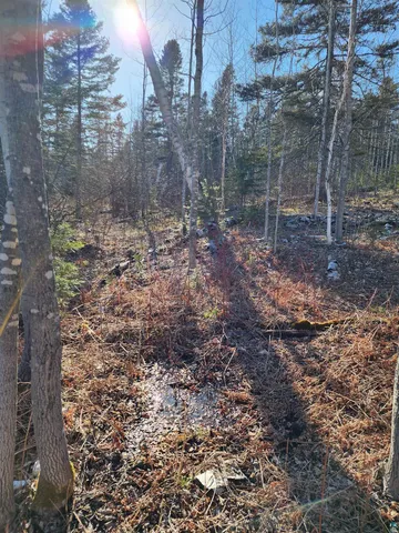 $479,000 | 61 Highway 61, Lutsen, MN 55612