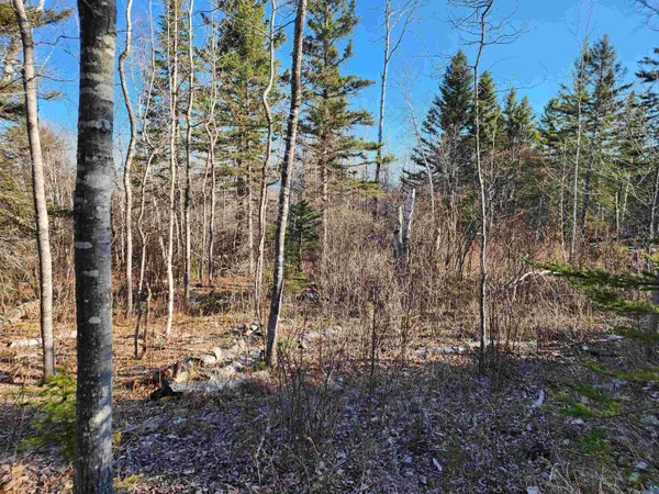 $479,000 | 61 Highway 61, Lutsen, MN 55612