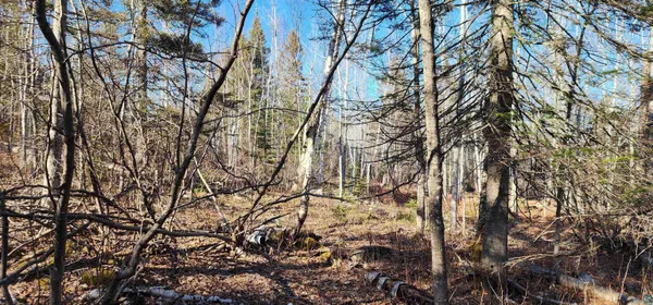 $479,000 | 61 Highway 61, Lutsen, MN 55612