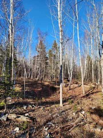 $479,000 | 61 Highway 61, Lutsen, MN 55612