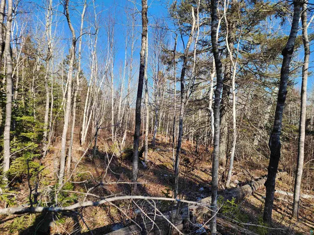 $479,000 | 61 Highway 61, Lutsen, MN 55612