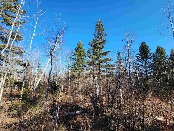 $479,000 | 61 Highway 61, Lutsen, MN 55612