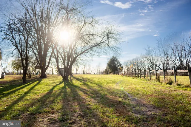 a view of yard with trees
