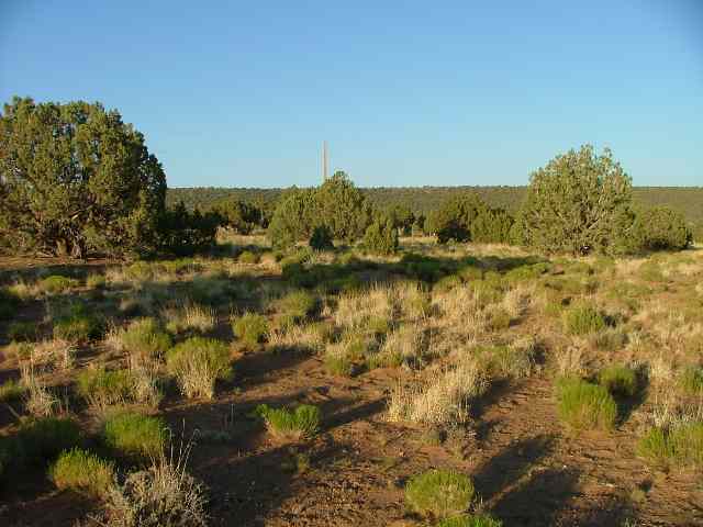 4018 East Pinto Road Snowflake, AZ 85937 - Photo 3 of 5 a view of a lake view