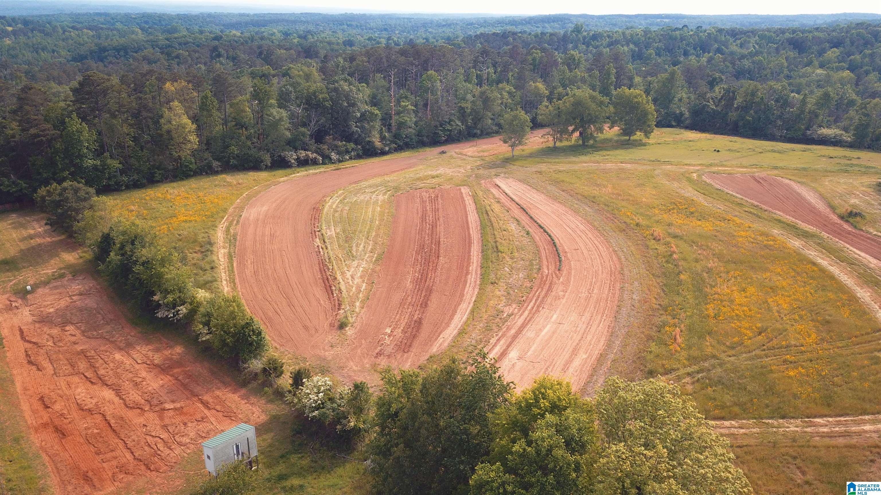 565 Rb Shadrix Road Hayden, AL 35079 - Photo 45 of 49