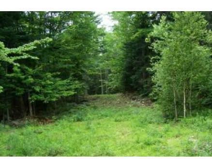 500 Dresser Road Bucksport, ME 04416 - Photo 12 of 28 Land.
