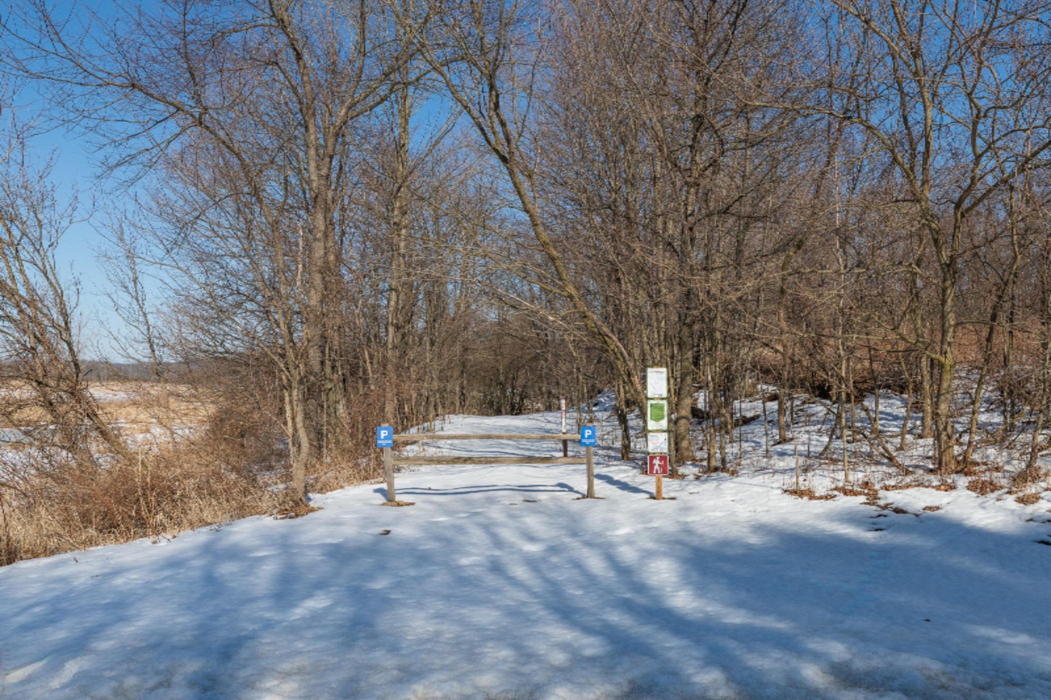18050 Mt Zion Road Galien, MI 49113 - Photo 45 of 45 18050 Mt Zion-51