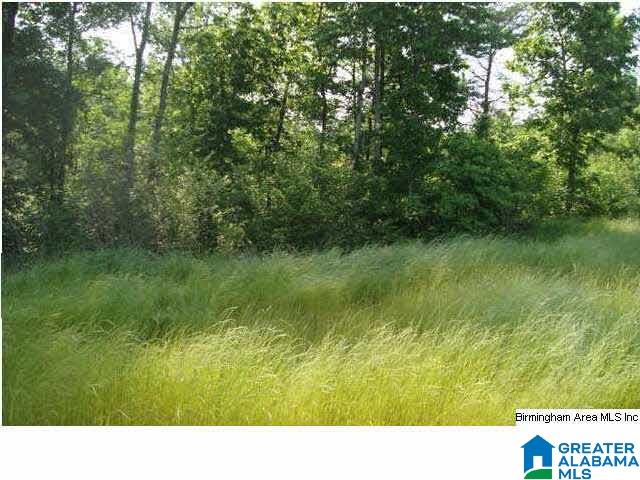 0 Riverview Drive, Unit 116 Cleveland, AL 35049 - Photo 8 of 30
