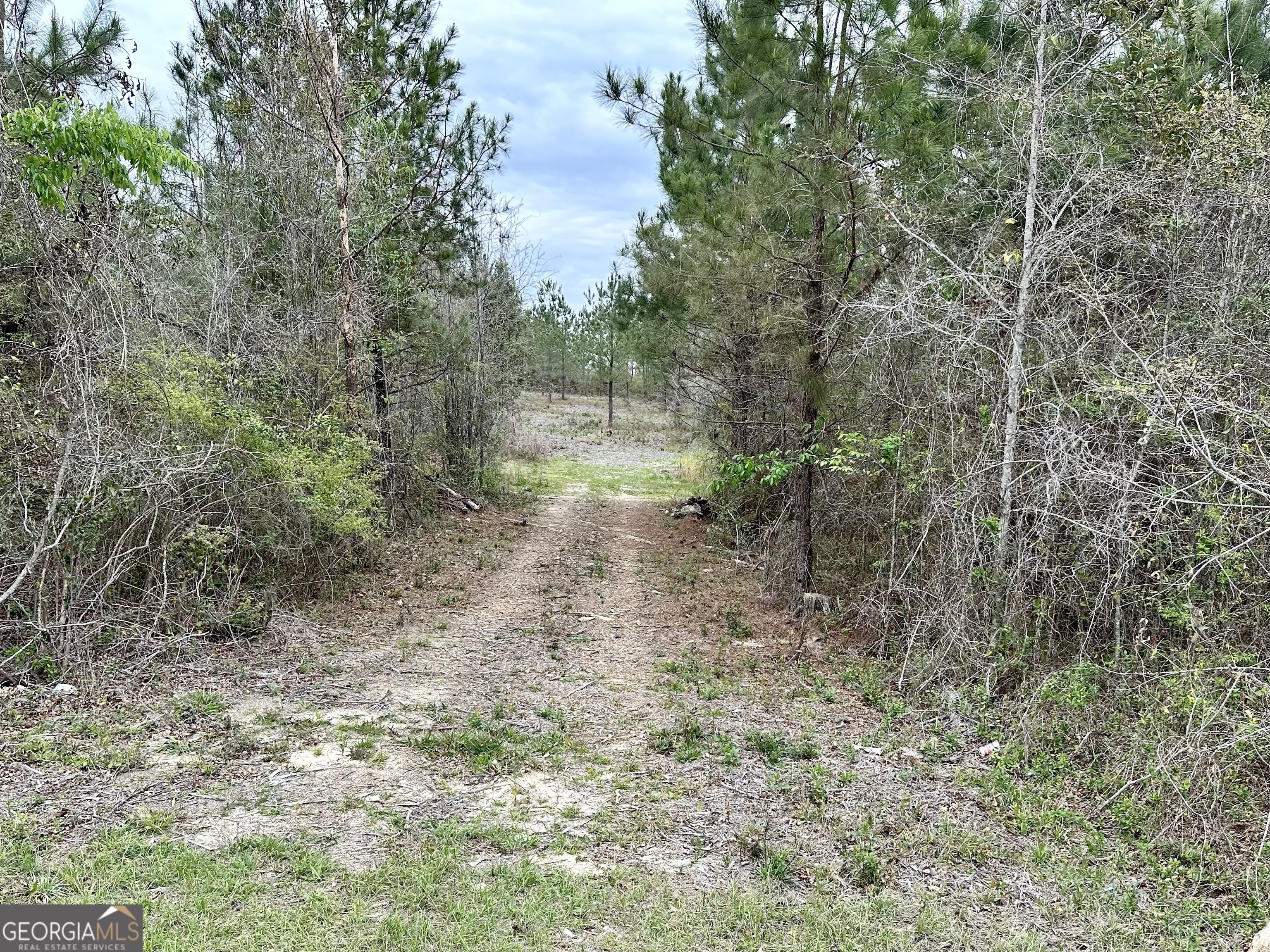 1986 Rock Springs Road Dublin, GA 31021 - Photo 1 of 13