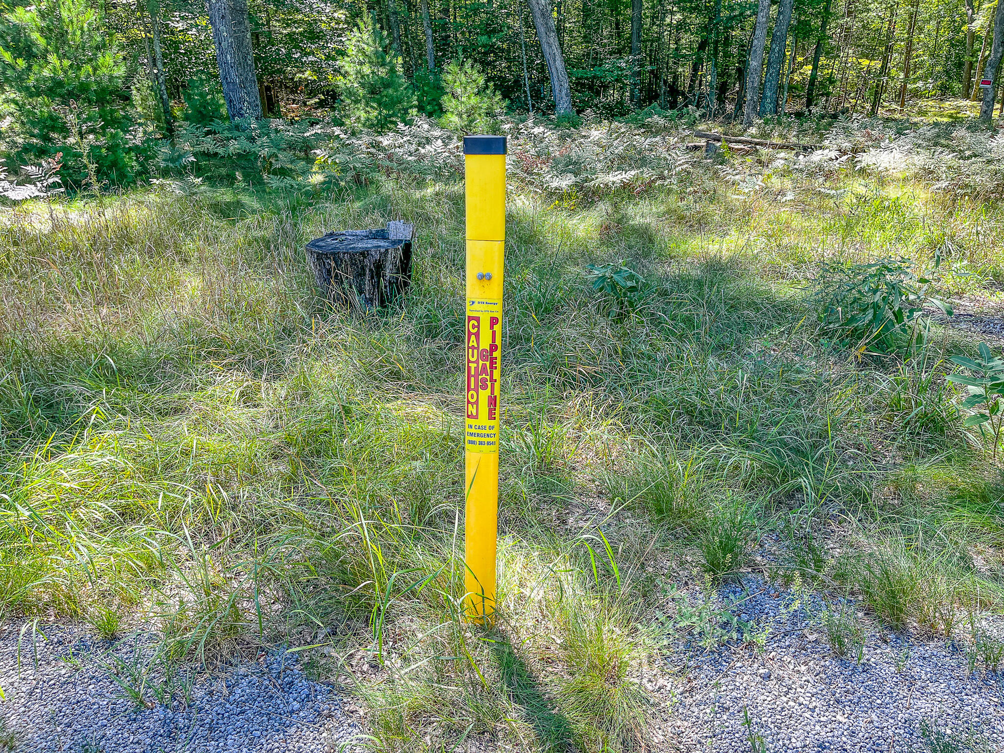 V/l Jay Road Whitehall, MI 49461 - Photo 12 of 13 IMG_4934