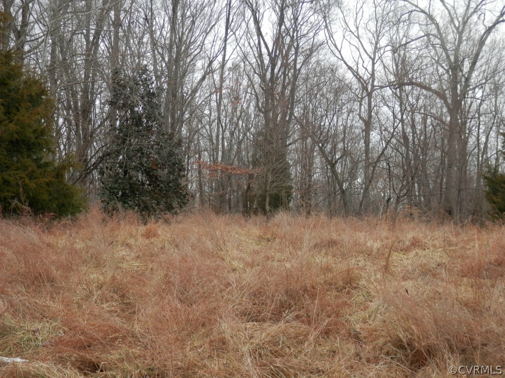 1512 Riverview Road Maidens, VA 23102 - Photo 2 of 12 Gallery Image 2
