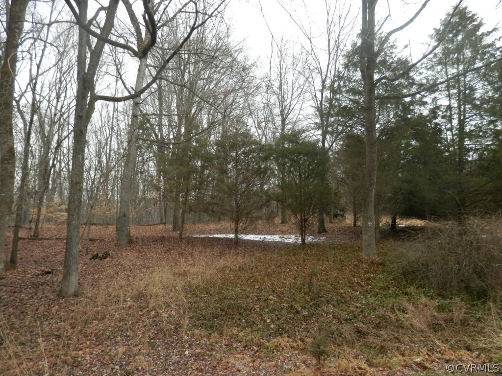 1512 Riverview Road Maidens, VA 23102 - Photo 3 of 12 Gallery Image 3
