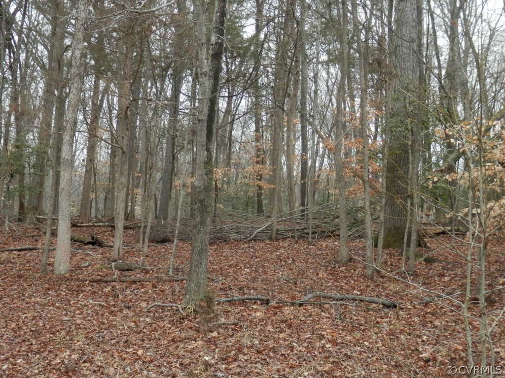 1512 Riverview Road Maidens, VA 23102 - Photo 7 of 12 Gallery Image 7