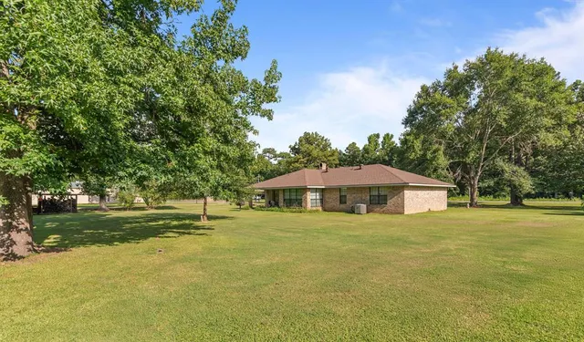 a view of a large garden with large trees