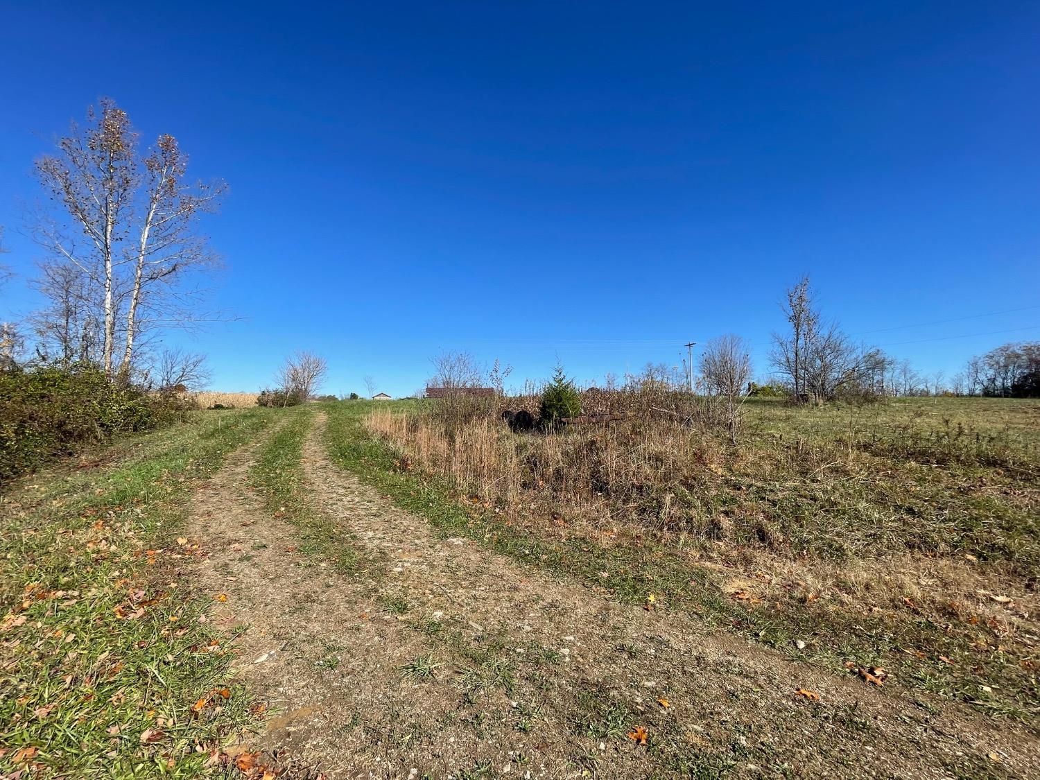 0 Cold Springs Road Moores Hill, IN 47032 - Photo 9 of 10 Gallery Image 9