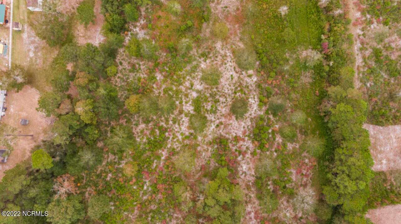 2029 Sea Lavender Road Southwest Supply, NC 28462 - Photo 12 of 20 12