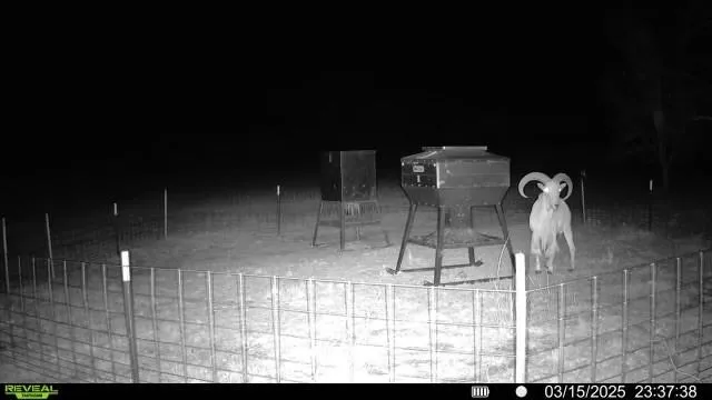 a view of dining room with furniture