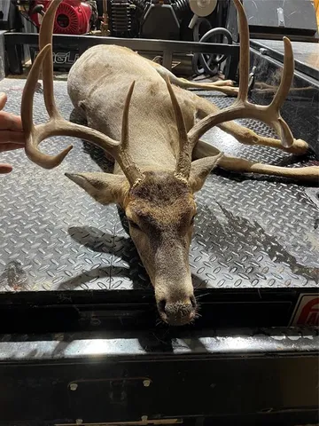 a picture of water heater