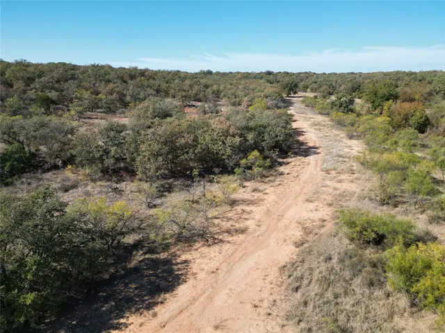 a view of a forest with trees in the background