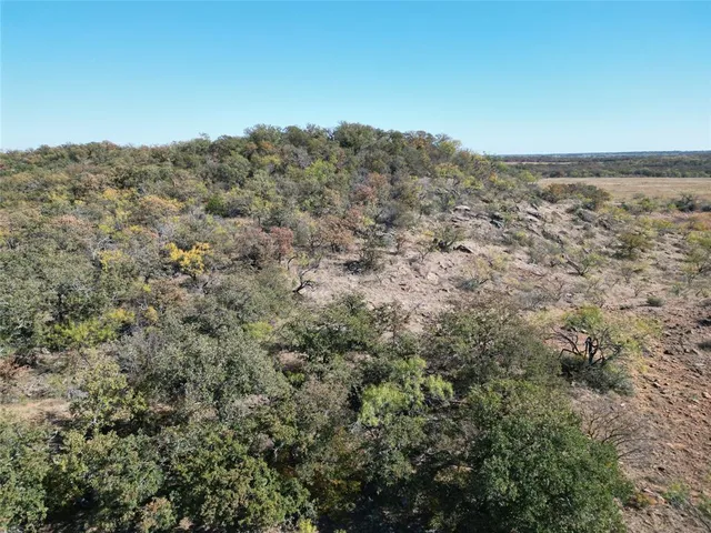 a view of a dry field with lots of bushes