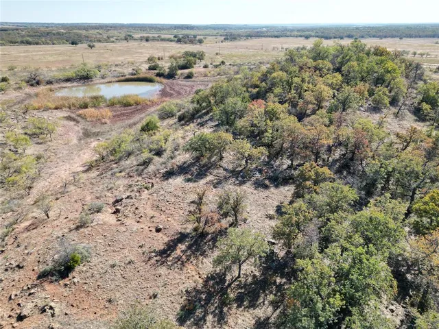 an aerial view of mountain with trees