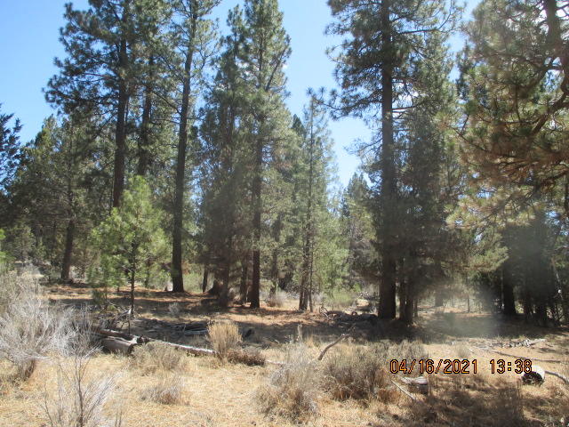 1200 Yellow Jacket (off Of) Road Beatty, OR 97621 - Photo 1 of 10 IMG_6954