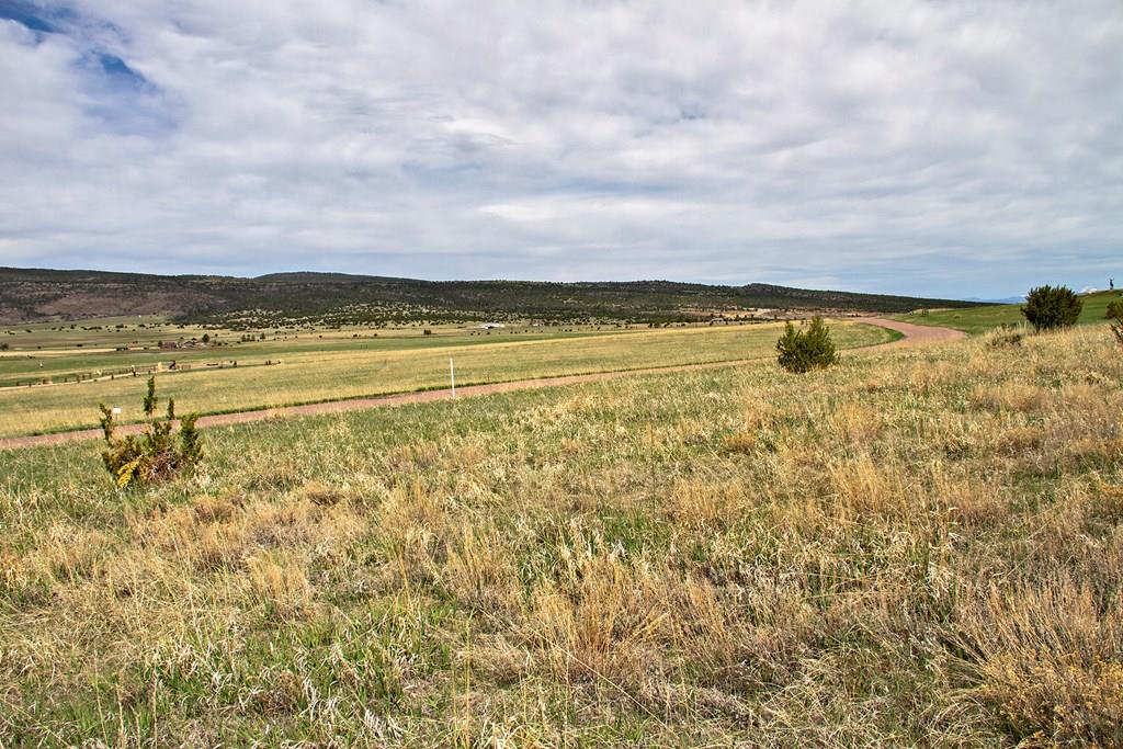 Tbd Garrett Road Beulah, CO 81023 - Photo 5 of 42 Gallery Image 5