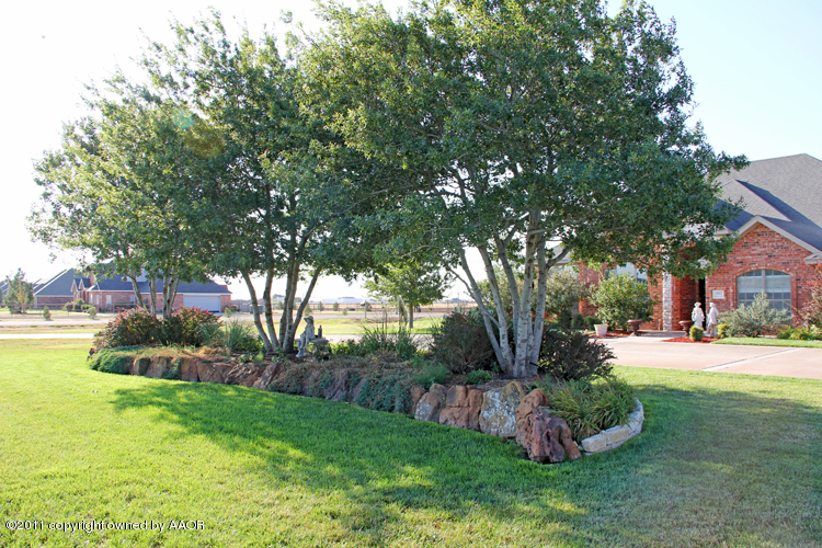 9001 Dove Road Canyon, TX 79015 - Photo 44 of 47 front3