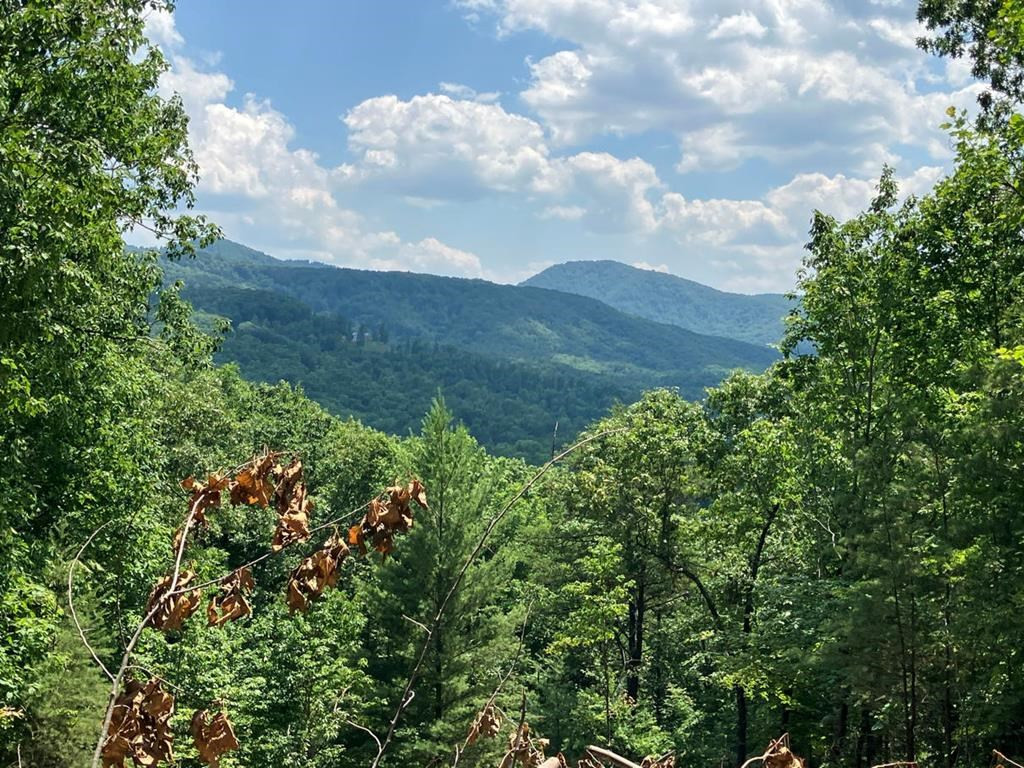 Lot 14 View Ridge Trail Murphy, NC 28906 - Photo 1 of 9