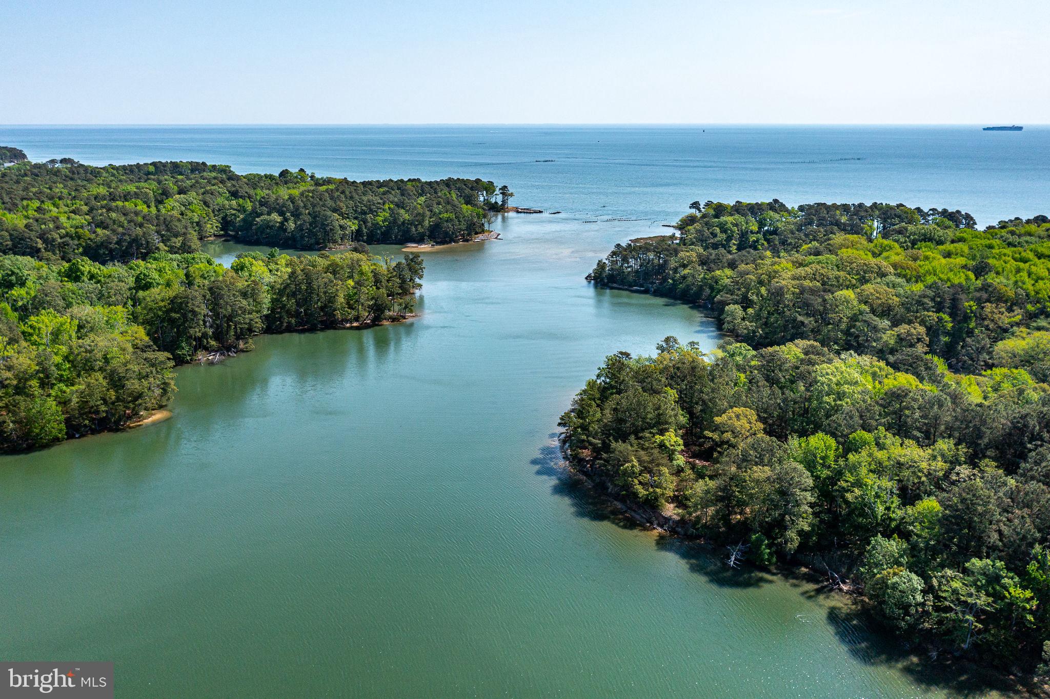 529 Taylors Beach Road Reedville, VA 22539 - Photo 23 of 57 Serene waters meet lush greenery.