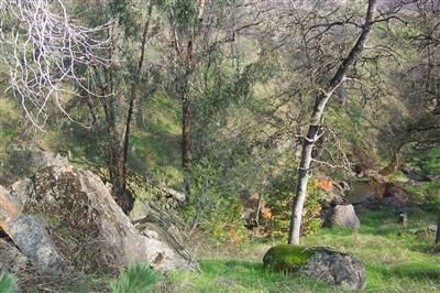 36490 Ennis Road Squaw Valley, CA 93675 - Photo 2 of 9 Gallery Image 2
