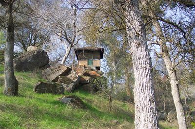 36490 Ennis Road Squaw Valley, CA 93675 - Photo 4 of 9 Gallery Image 4