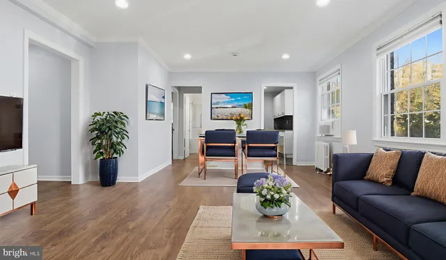 a living room with furniture potted plant and window