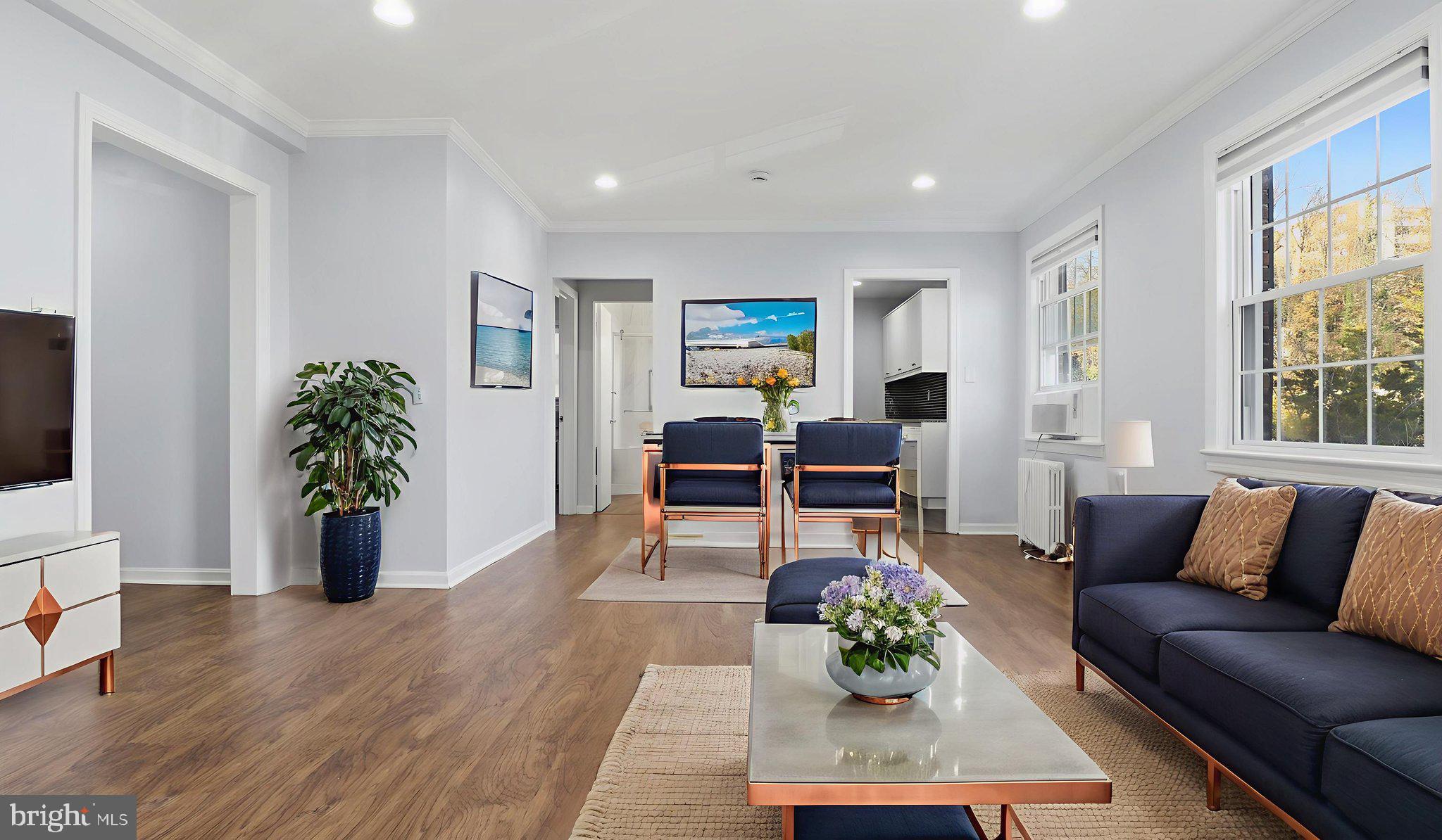 5100 Columbia Pike, Unit 1 Arlington, VA 22204 - Photo 33 of 40 a living room with furniture potted plant and window