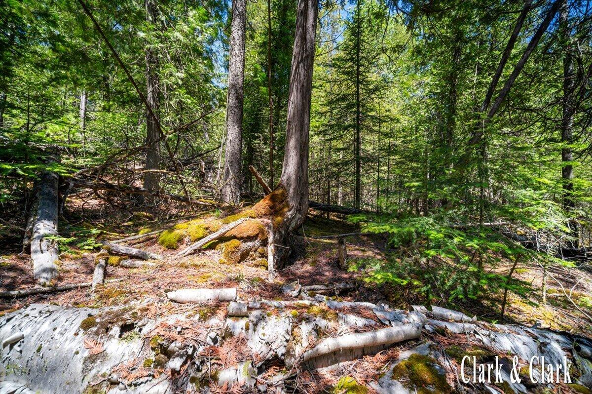 35965 South Humms Road Drummond Island, MI 49726 - Photo 62 of 73 131-WOODS 03A