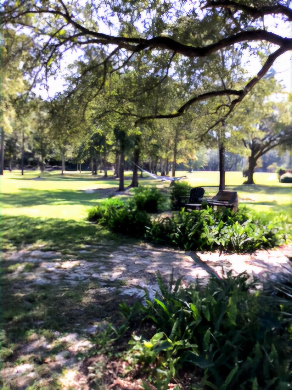 248 Blueberry Road Freeport, FL 32439 - Photo 34 of 37 a view of backyard with green space