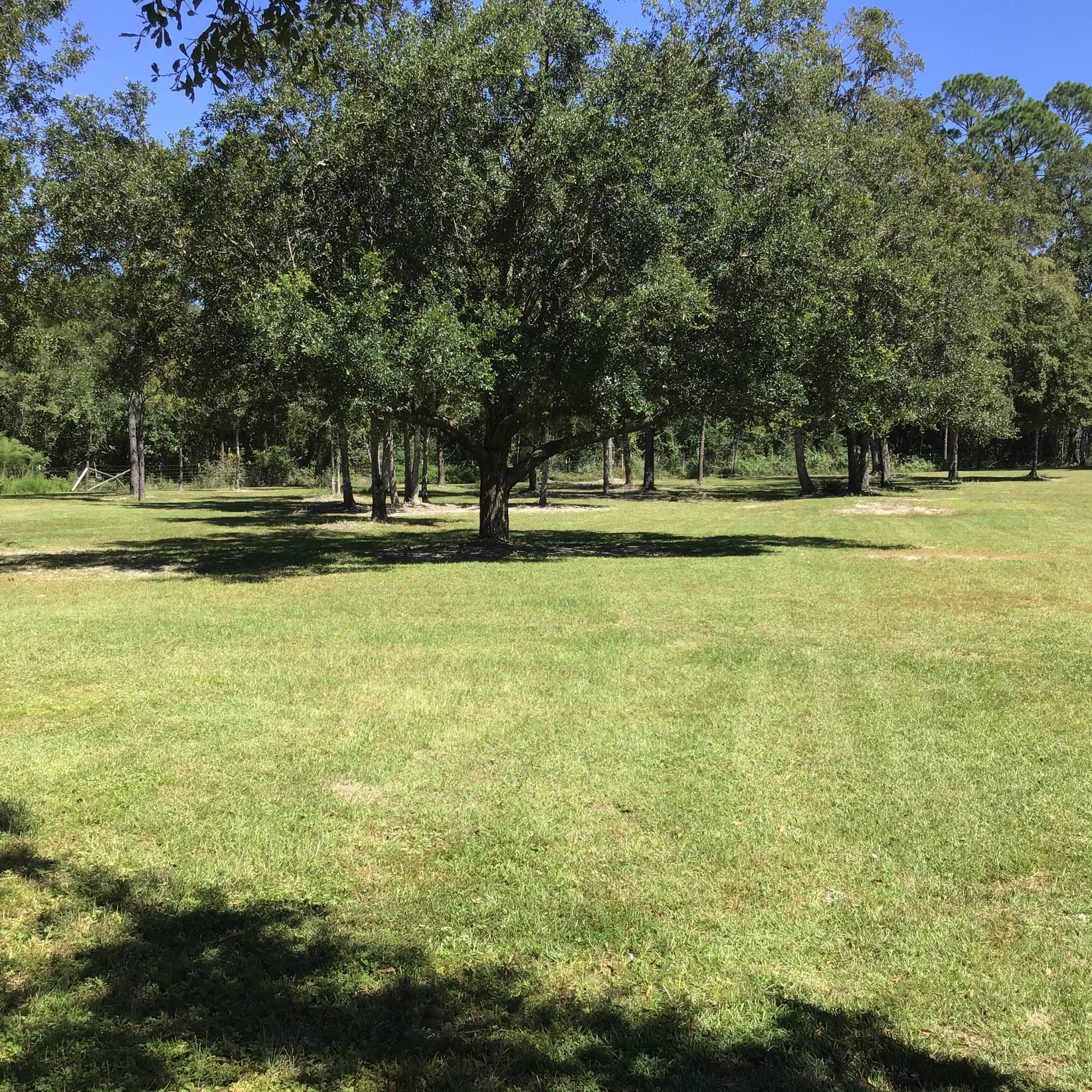 248 Blueberry Road Freeport, FL 32439 - Photo 35 of 37 a view of a swimming pool and trees in the background
