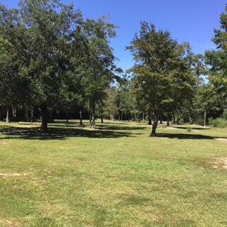 248 Blueberry Road Freeport, FL 32439 - Photo 37 of 37 a view of a swimming pool
