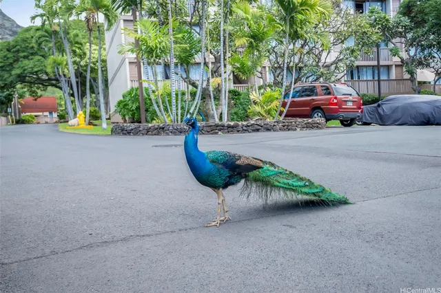 $199,000 | 84-755 Ala Mahiku Street, Unit 74B, Waianae, HI 96792