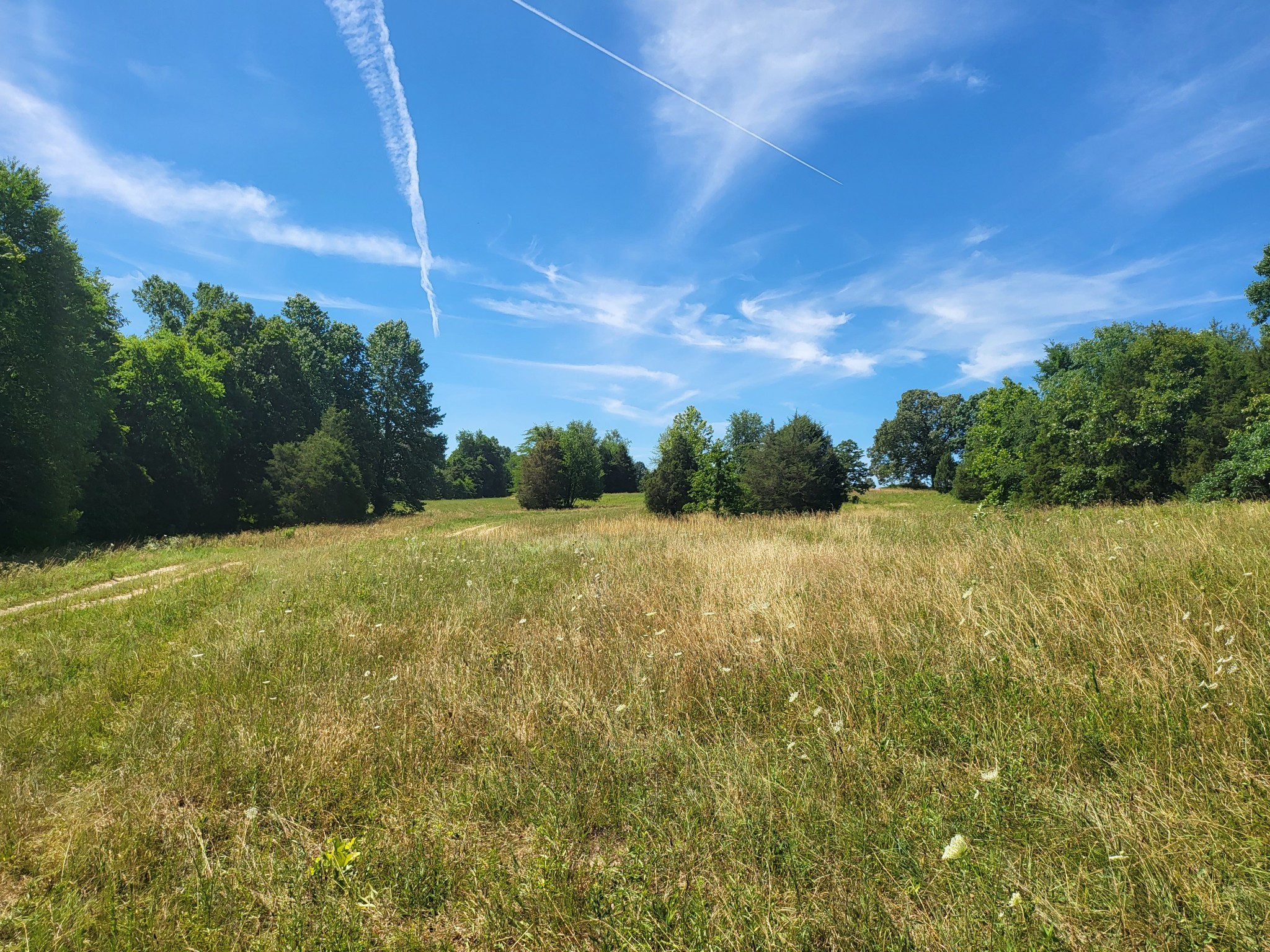 0 Maple Valley Road Charlotte, TN 37036 - Photo 4 of 12 Gallery Image 4