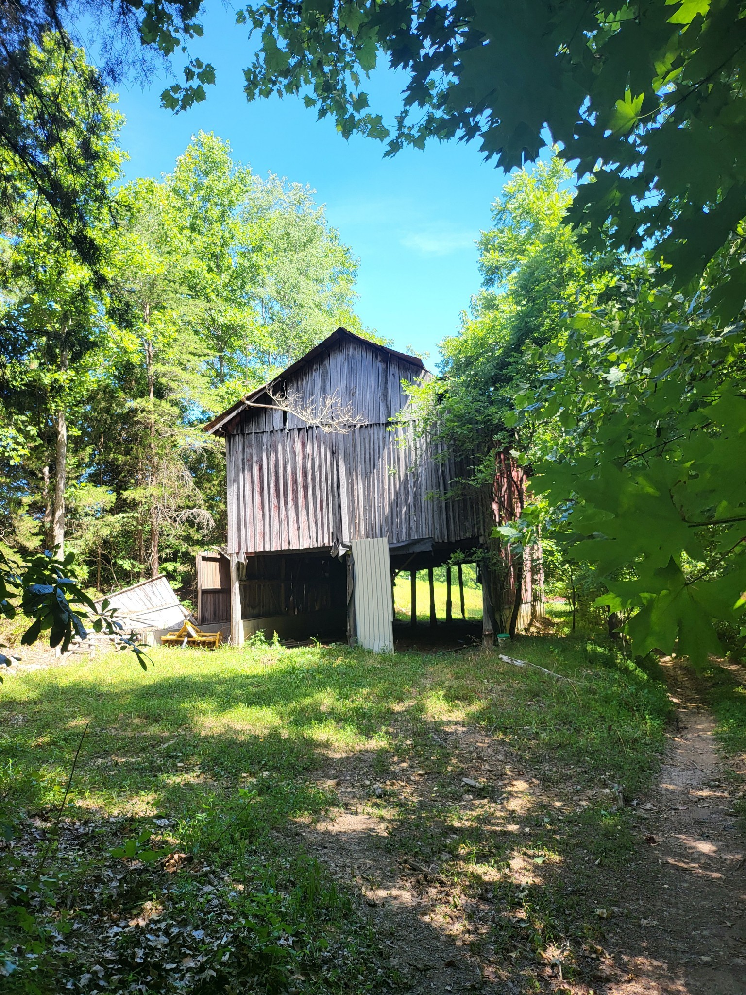 0 Maple Valley Road Charlotte, TN 37036 - Photo 5 of 12 Gallery Image 5