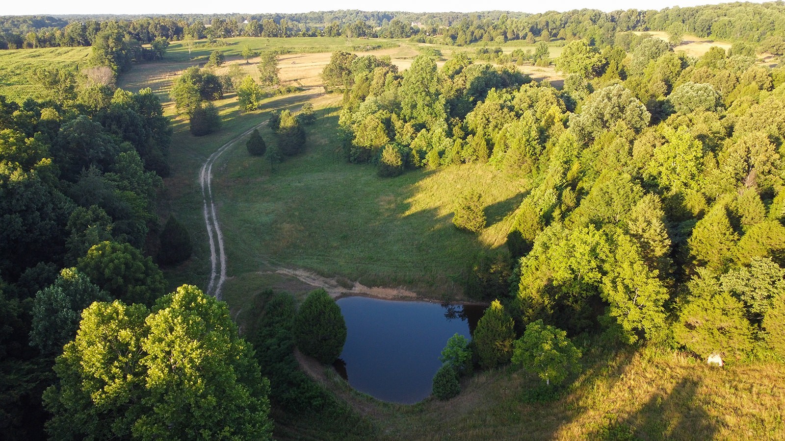 0 Maple Valley Road Charlotte, TN 37036 - Photo 9 of 12 Gallery Image 9